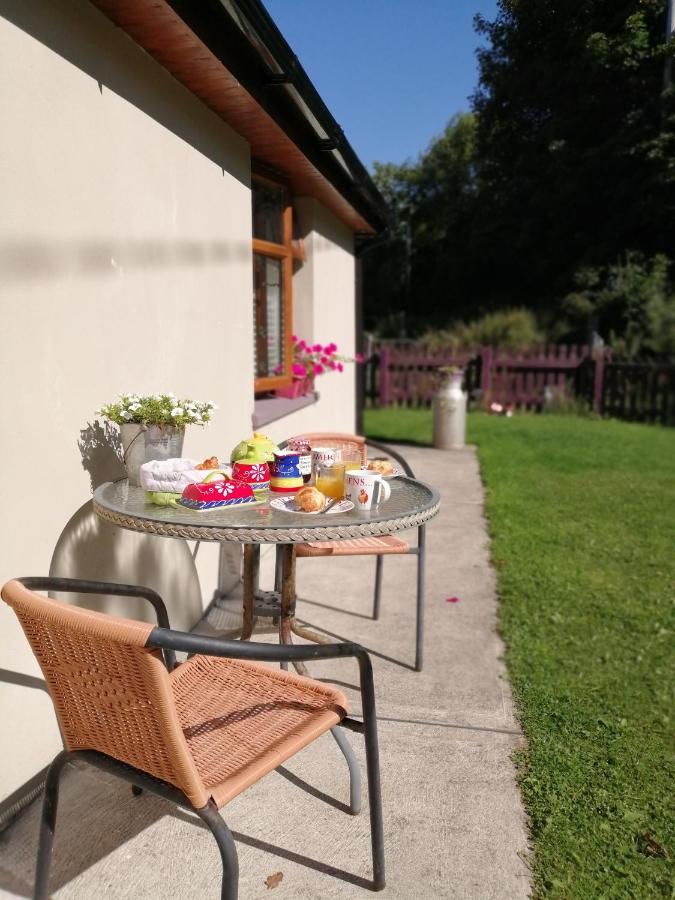 Killarney Saoirse Cottage Екстериор снимка