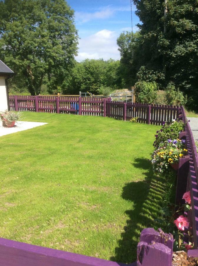 Killarney Saoirse Cottage Екстериор снимка