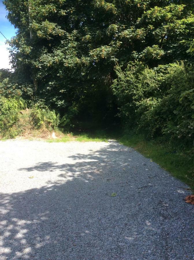 Killarney Saoirse Cottage Екстериор снимка