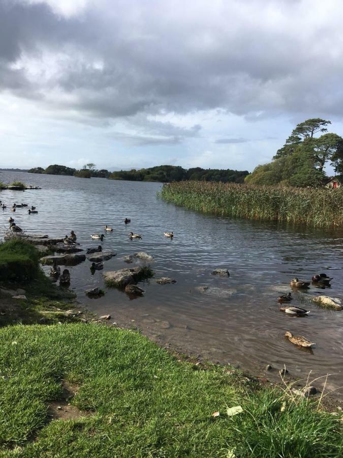 Killarney Saoirse Cottage Екстериор снимка